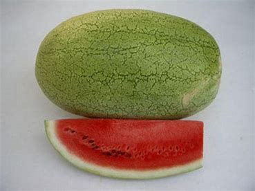 Charleston Grey Watermelon Seed -1/2 Ounce packet