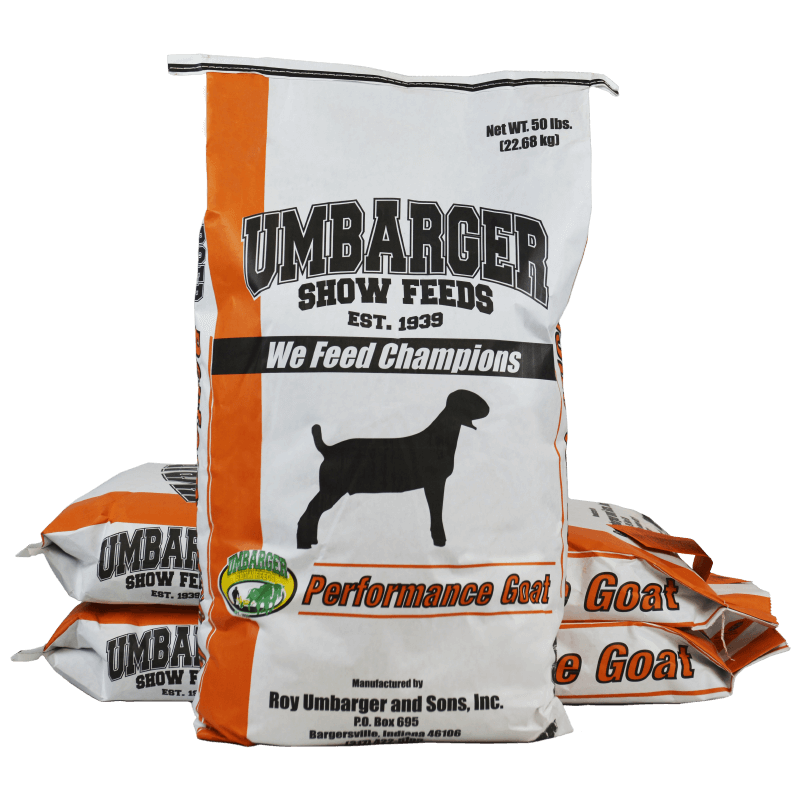 Umbarger Prevail