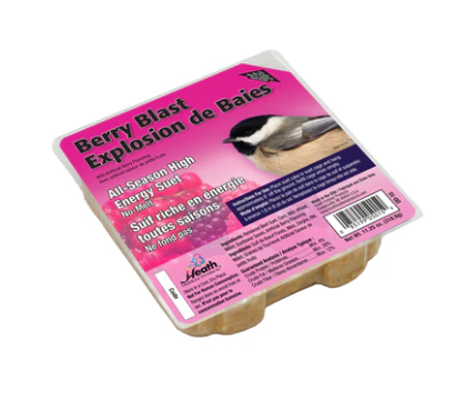 Berry Blast Suet