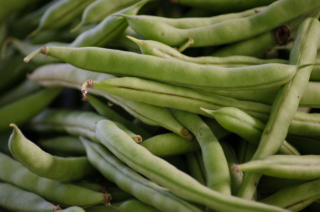 White Half Runner Bean Seed- Ounce