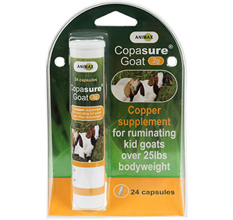 CopaSure Copper Bolus