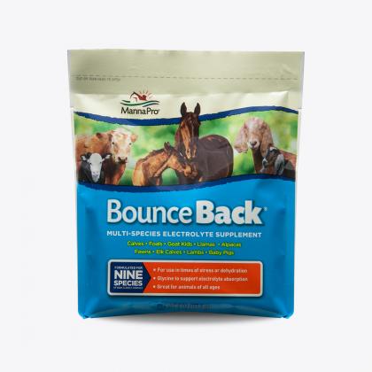 Manna Pro Bounce Back Multi Species Electrolyte Supplement