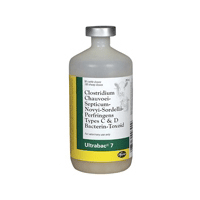 UltraBac 7