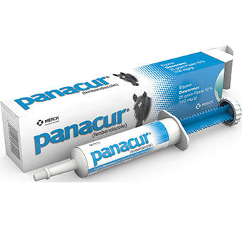 Panacur Paste Syringe 25G