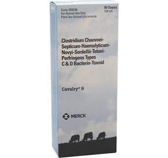 Cavalry 9 -50 dose