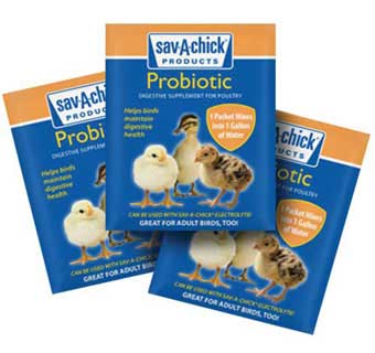 Sav-A-Chick Probiotic Supplement - 3/ Pkg