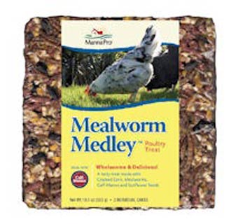 Mealworm Medley Cakes