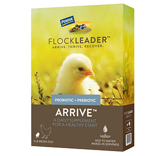 Flockleader Arrive Poultry Supplement 8 ounce