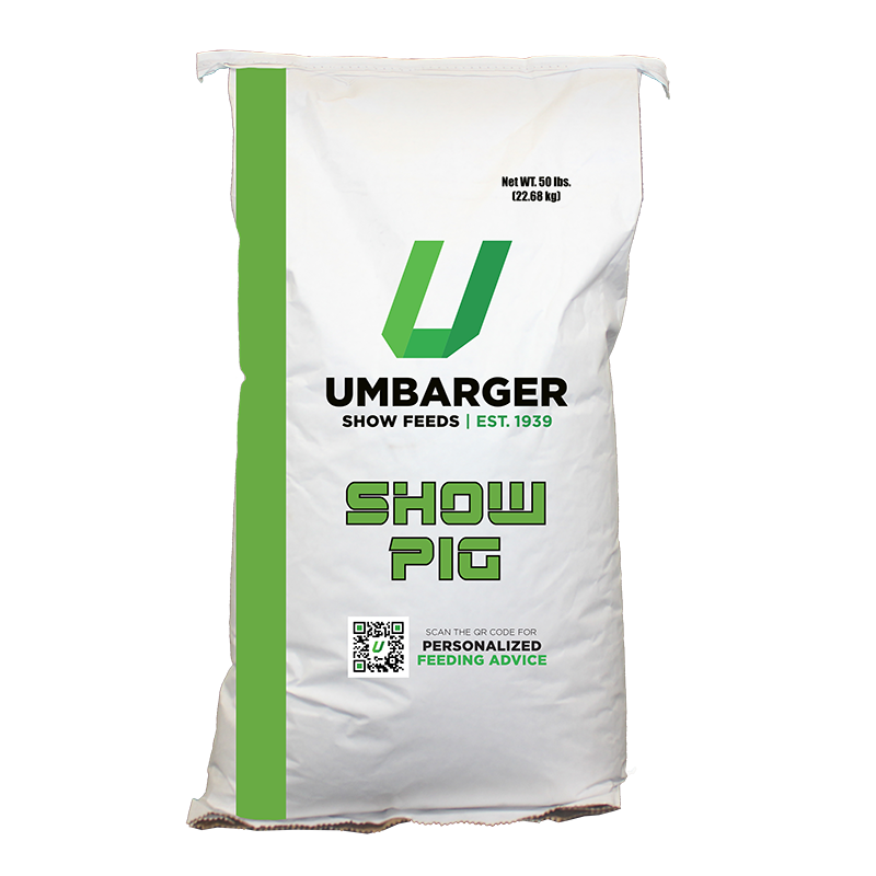 Umbarger Clutch