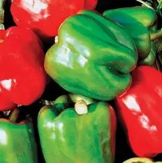California Wonder Pepper Seed- 1/4 Ounce Packet