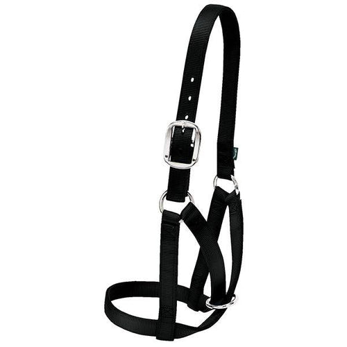 Cow Barn Halter