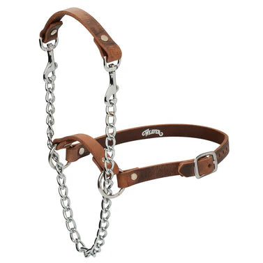 Total Control Goat Halter
