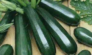 Black Beauty Zucchini Seed- 1/2 oz packet