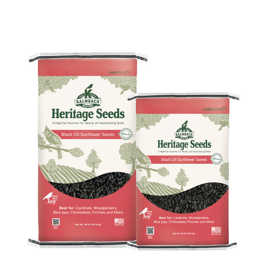 Heritage Black Oil Sunflower Seed