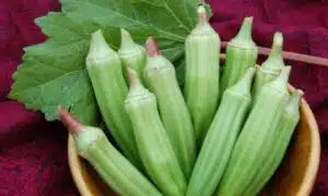 Okra- Clemson Spineless - Ounce
