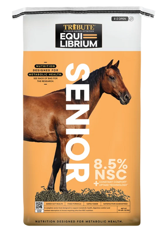 Tribute Equilibrium Senior
