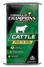 Formula Of Champions Show Calf Creep