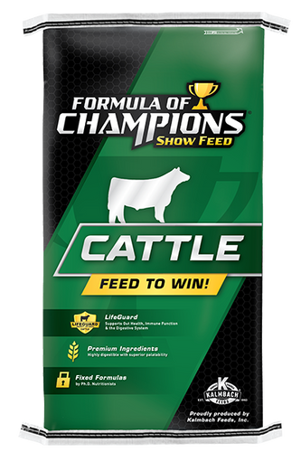 Formula Of Champions Show Calf Creep