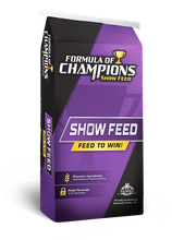 Formula Of Champions Show & Glow