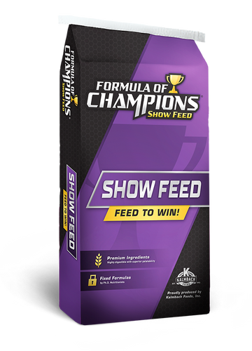 Formula Of Champions Show & Glow