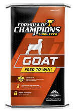 Formula Of Champions Game Plan 16 Starter Developer