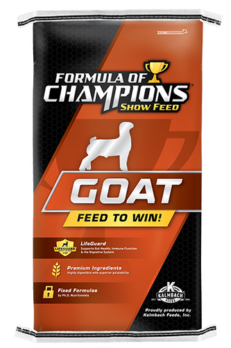 Formula Of Champions Game Plan 16 Starter Developer