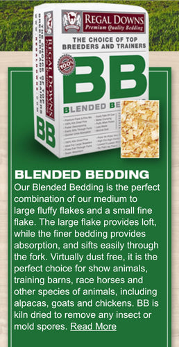 Regal Downs Blended Shavings (BB) 6 Cu Ft.