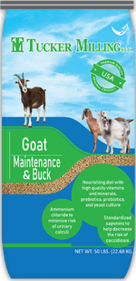 Tucker Milling Goat & Buck Maintenance