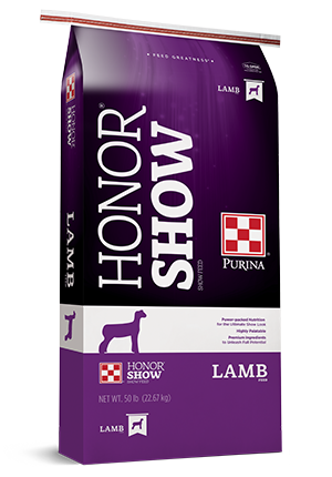 HS Showlamb Stretch 17 Text DX