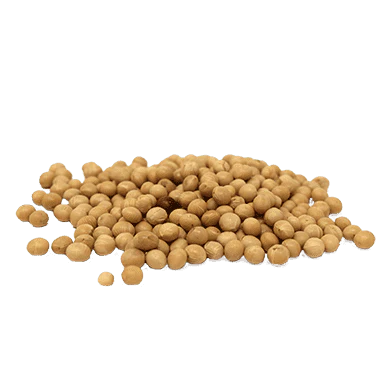 Soybean
