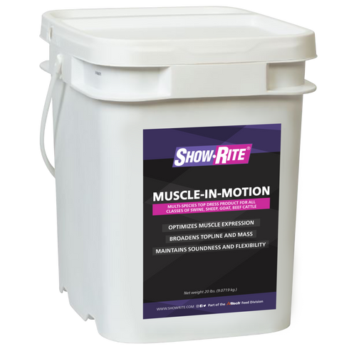 Showrite Muscle in Motion Bucket