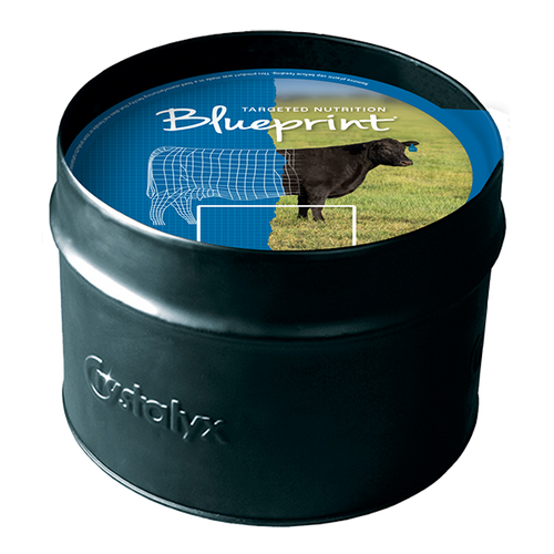 Blueprint Cattle Fly Tub