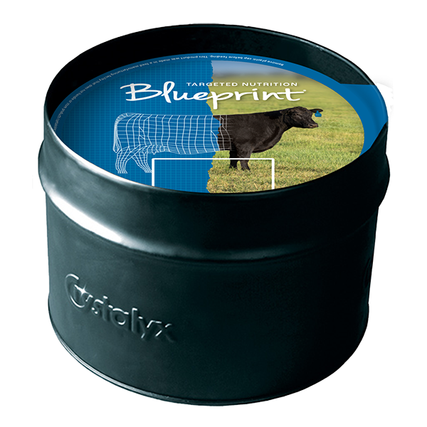 Blueprint Cattle Fly Tub