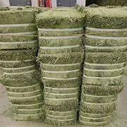 Blue Mountain Compressed Alfalfa Hay