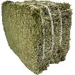 Blue Mountain Compressed Orchard Grass