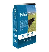 Blueprint Cow Calf High Mag Mineral
