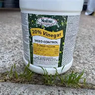 Medina 20% Vinegar