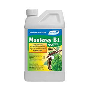 Monterey B.t. Quart