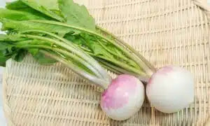 Purple Top White Globe Turnip Seed- Ounce