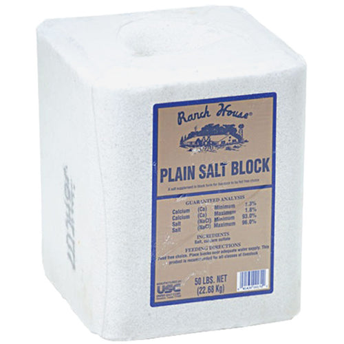 White Salt Block