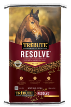 Tribute Resolve