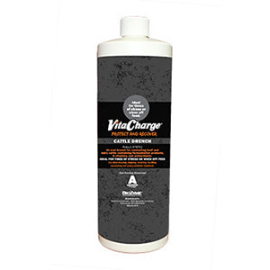 Sure Champ Cattle Drench- 32 ounce