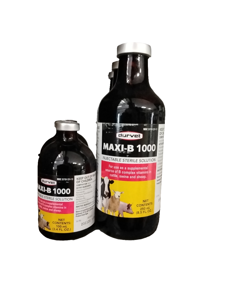 Maxi-B 1000 Vitamin B injection