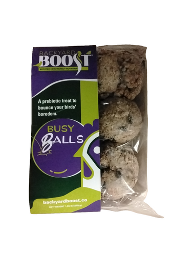 Backyard Boost Busy Balls