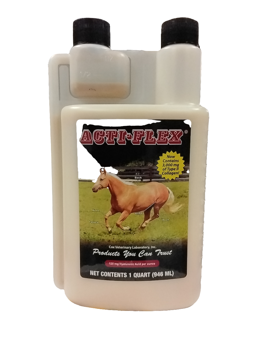 Acti-Flex Horse (1 Quart)