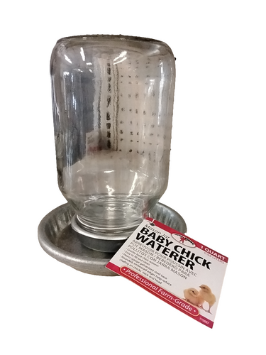 Mason jar Chick Waterer