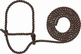Weaver Cattle Rope Halter