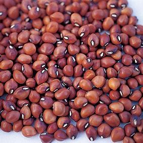 Knuckle Purple Hull Pea Seed - per OZ