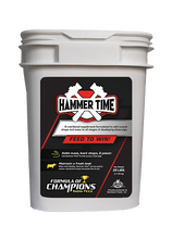 Formula Of Champions Hammer Time