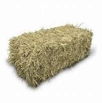 Hay- Mixed Grass Square Bale